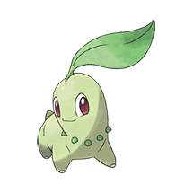 chikorita