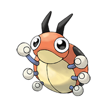 ledyba