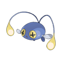 chinchou