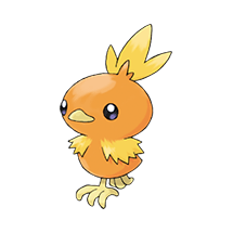 torchic