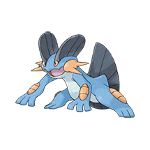 swampert