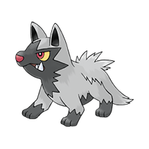 poochyena