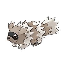 zigzagoon