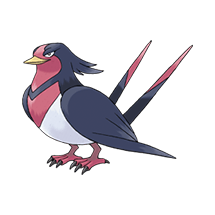 swellow