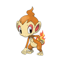 chimchar
