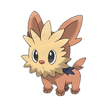 lillipup