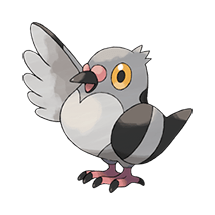 pidove