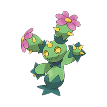 maractus