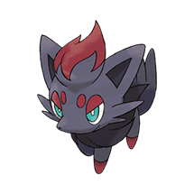 zorua
