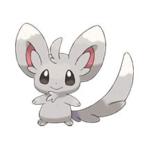 minccino