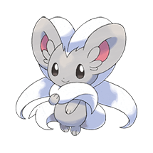 cinccino
