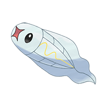 tynamo