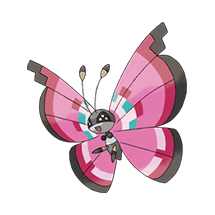 vivillon