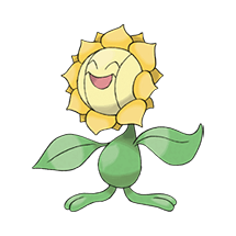 sunflora