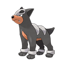 houndour